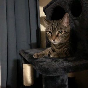 Meet your Posher, Jason